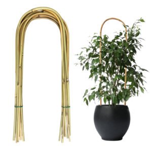 U-Shape Natural Bamboo