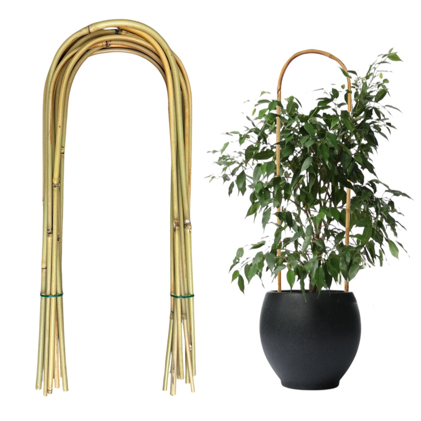 U-Shape Natural Bamboo