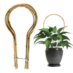 Bamboo Trellis Round-Shaped