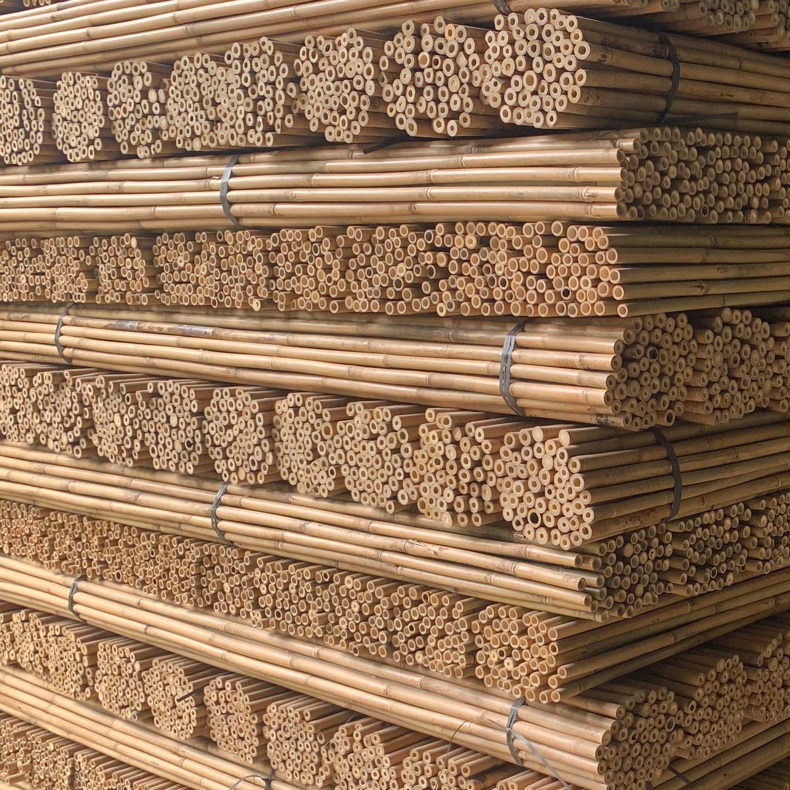 bamboo poles