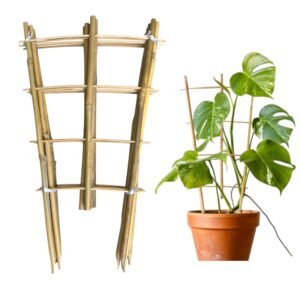 Fan-Shaped Bamboo Plant Trellis