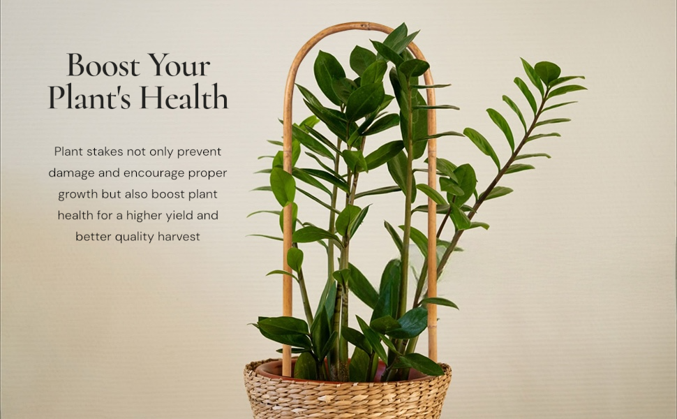 U-Shape Natural Bamboo